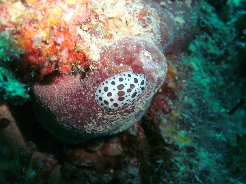 2012-09-19 12-02-44 Steven.JPG